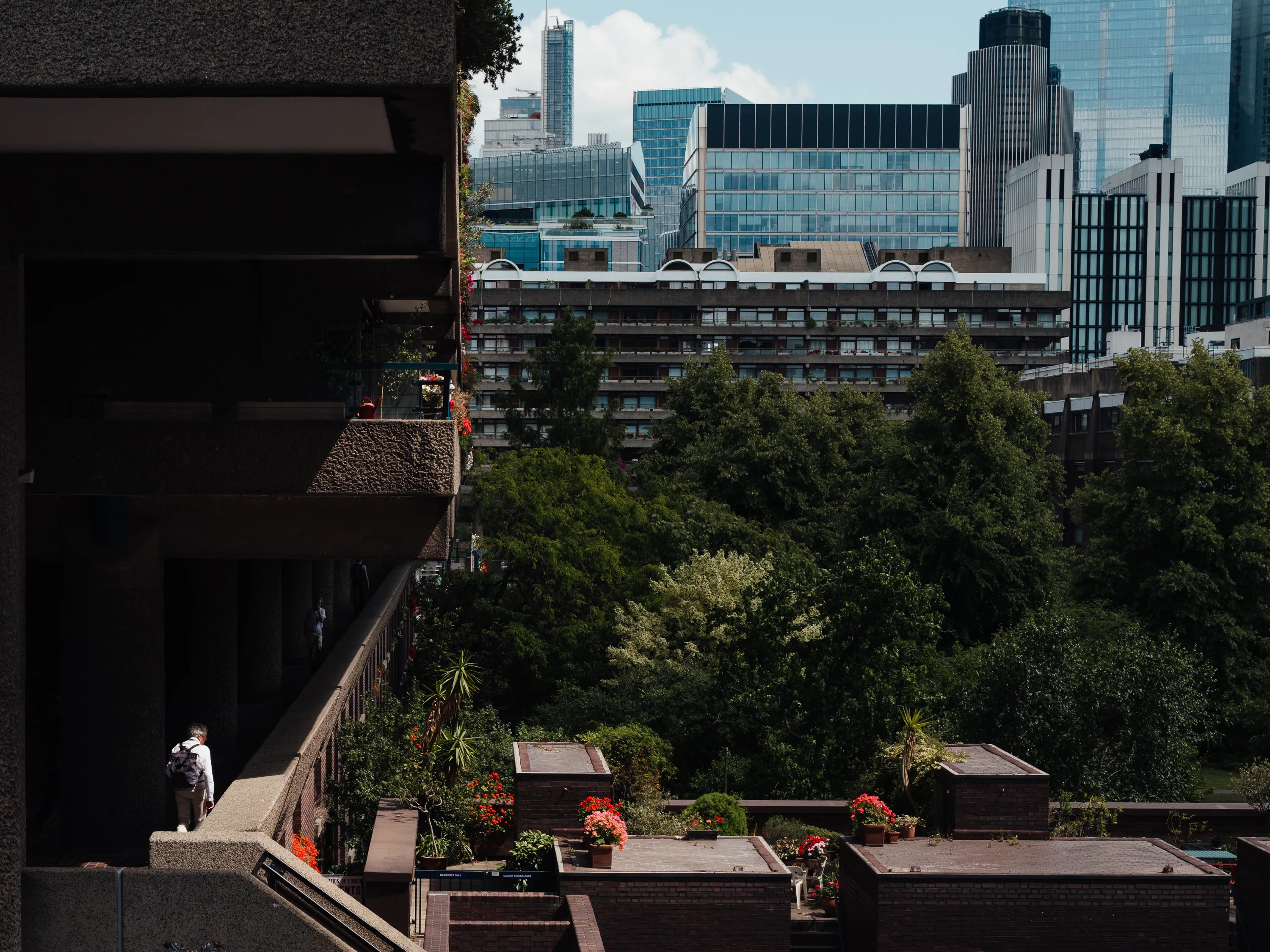 A man in a white shirt looks out from a building onto a group of trees and then taller London buildings